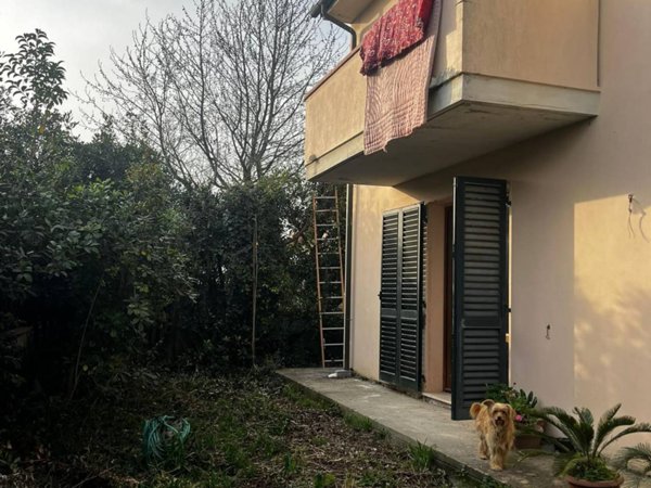 casa indipendente in vendita a San Giuliano Terme in zona Arena-Metato