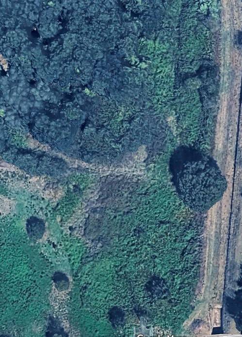 terreno agricolo in vendita a San Giuliano Terme