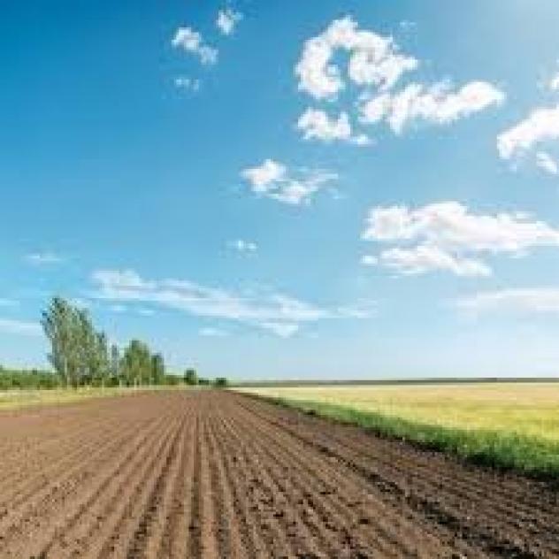 terreno agricolo in vendita a San Giuliano Terme in zona San Martino a Ulmiano