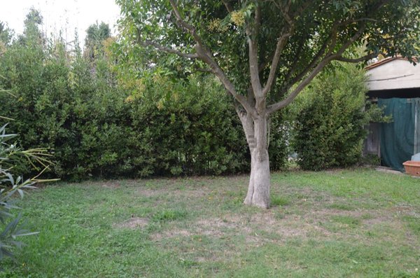 appartamento in vendita a San Giuliano Terme in zona Campo