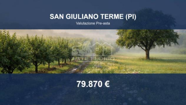 terreno agricolo in vendita a San Giuliano Terme in zona Arena-Metato