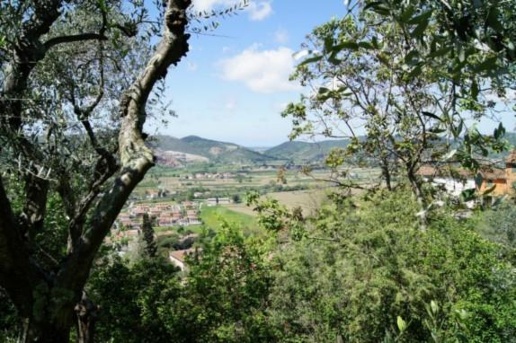 casale in vendita a San Giuliano Terme in zona Molina di Quosa
