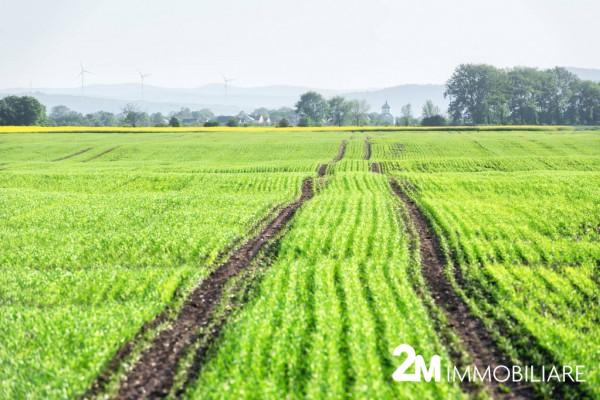 terreno agricolo in vendita a San Giuliano Terme in zona Arena-Metato