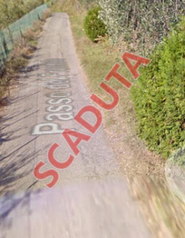 pentavano in vendita a San Giuliano Terme in zona Rigoli