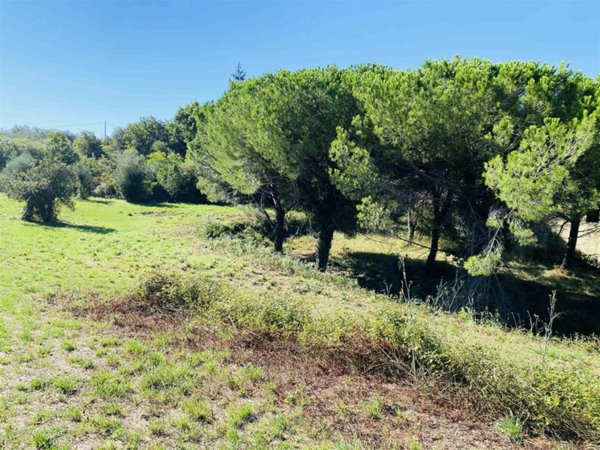 casale in vendita a San Giuliano Terme