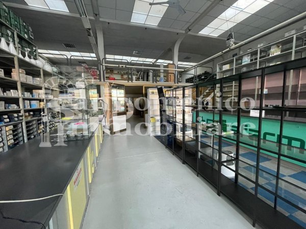 capannone in vendita a San Giuliano Terme