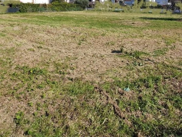 terreno agricolo in vendita a San Giuliano Terme