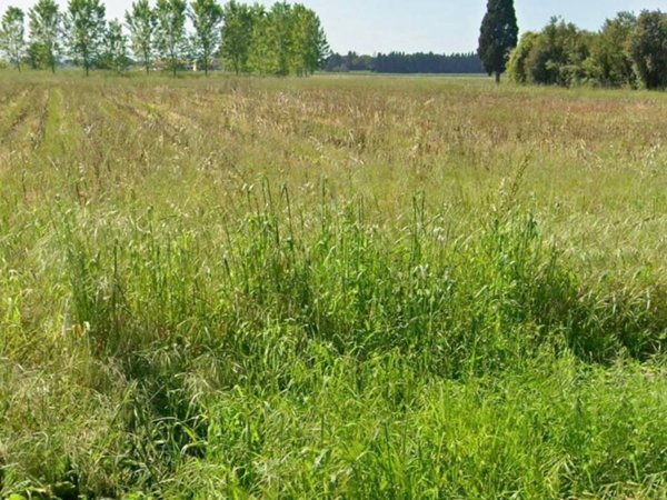 casa indipendente in vendita a San Giuliano Terme in zona Arena-Metato