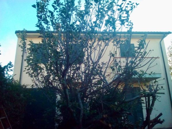 casa indipendente in vendita a San Giuliano Terme in zona Arena-Metato