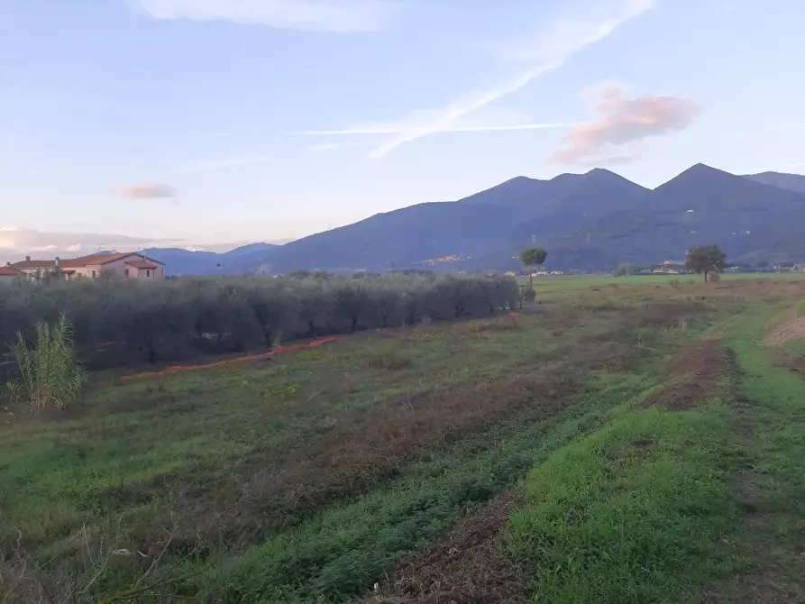 terreno agricolo in vendita a San Giuliano Terme