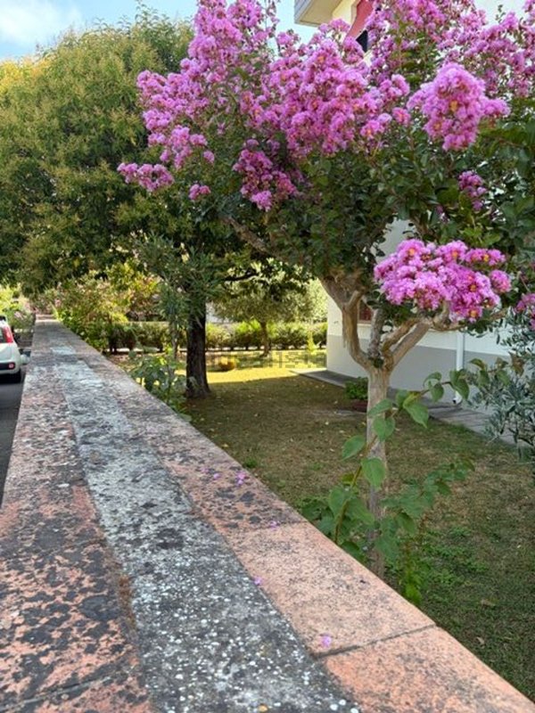 appartamento in vendita a San Giuliano Terme in zona Campo