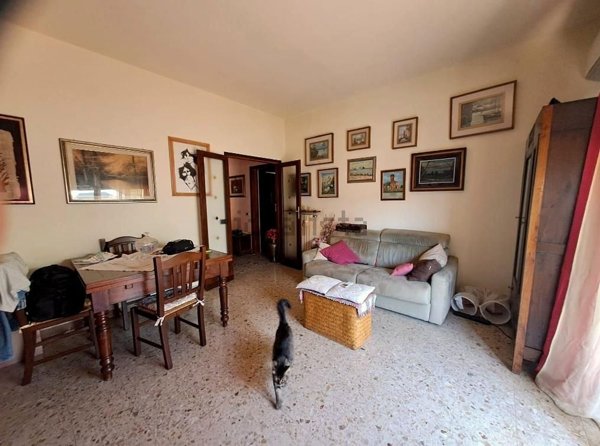 immagine annuncio 0 di 1