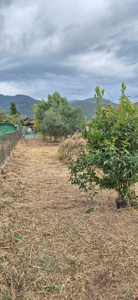 casa indipendente in vendita a San Giuliano Terme in zona Gello