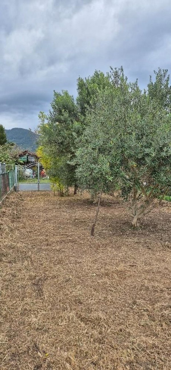 casa indipendente in vendita a San Giuliano Terme in zona Gello
