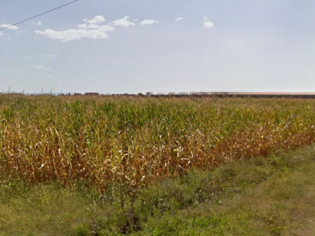 terreno agricolo in vendita a San Giuliano Terme in zona Colignola