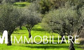 terreno agricolo in vendita a San Giuliano Terme