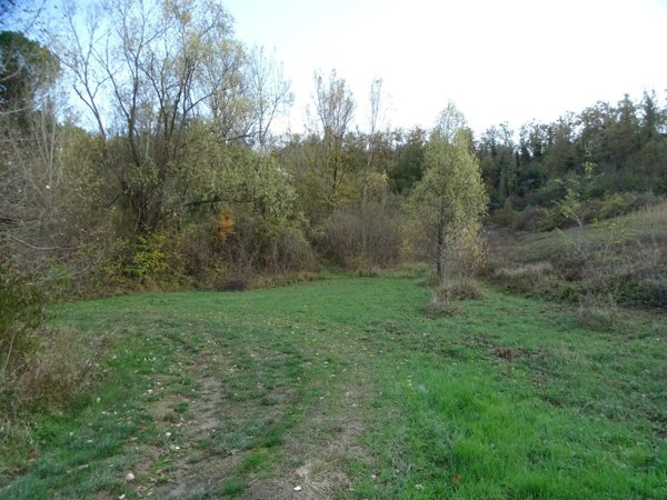 appartamento in vendita a San Miniato