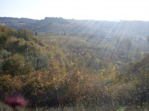 terreno agricolo in vendita a San Miniato in zona San Miniato Alto