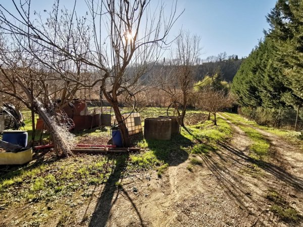 terreno agricolo in vendita a San Miniato in zona Catena