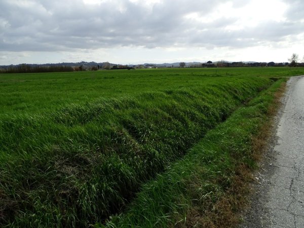 terreno agricolo in vendita a San Miniato in zona Catena