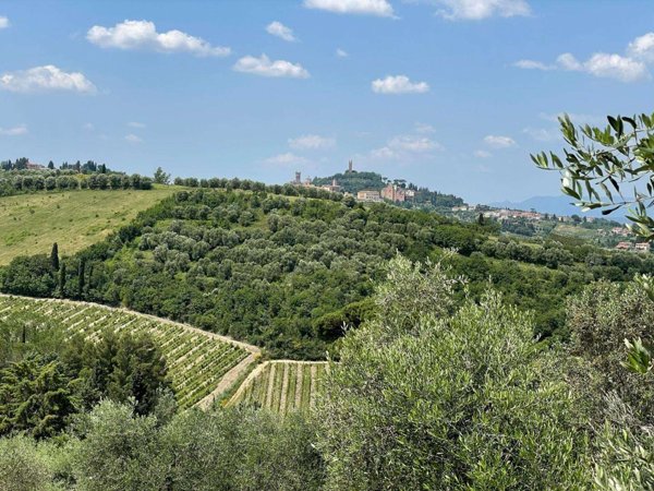 azienda agricola in vendita a San Miniato