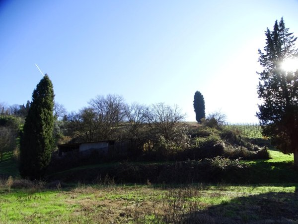 terreno agricolo in vendita a San Miniato
