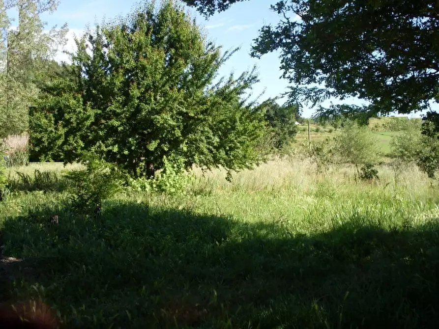 terreno agricolo in vendita a San Miniato