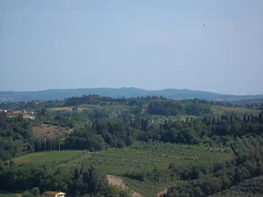 terreno agricolo in vendita a San Miniato