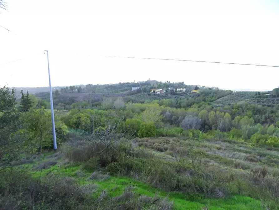 terreno agricolo in vendita a San Miniato