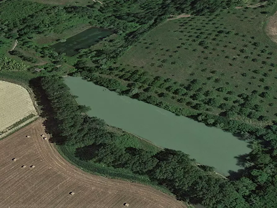 terreno agricolo in vendita a San Miniato