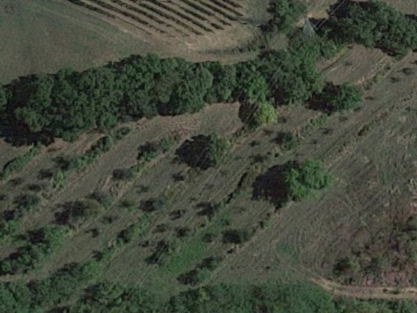 terreno agricolo in vendita a San Miniato in zona La Scala