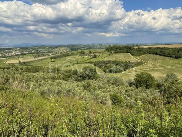 terreno agricolo in vendita a San Miniato