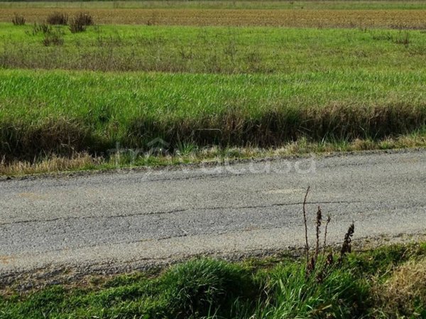 terreno agricolo in vendita a San Miniato in zona San Miniato Basso