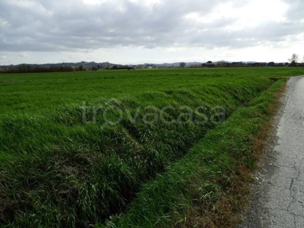 terreno agricolo in vendita a San Miniato in zona San Miniato Basso