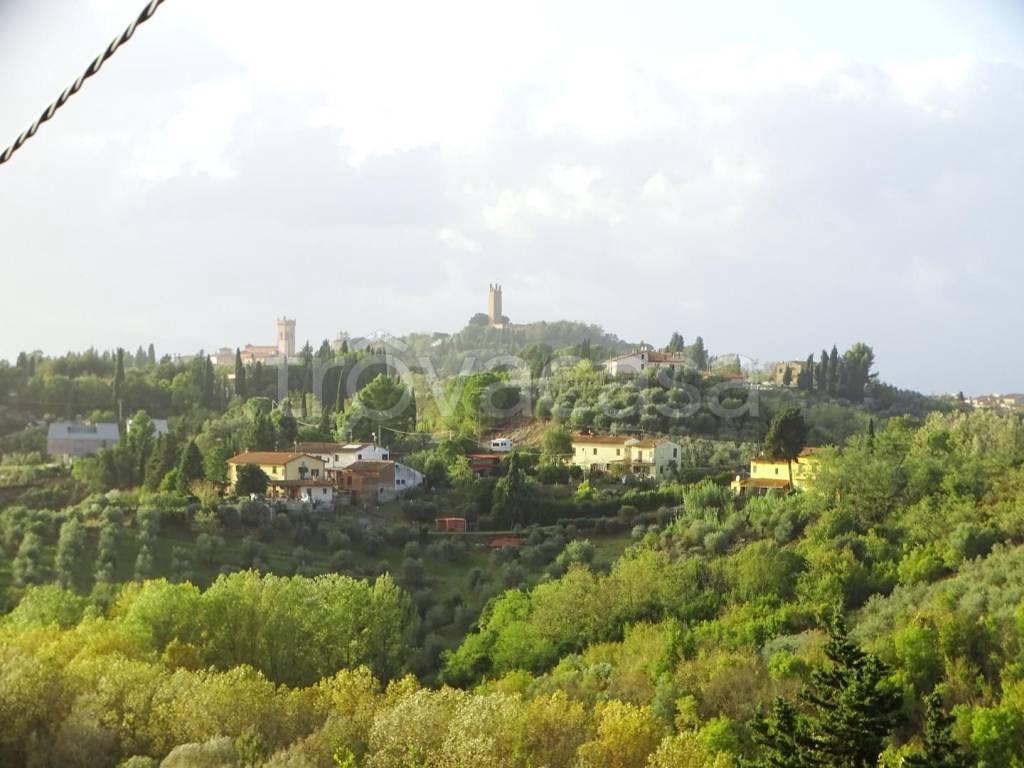 terreno agricolo in vendita a San Miniato