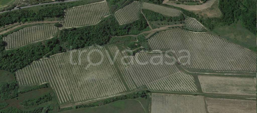 terreno agricolo in vendita a San Miniato