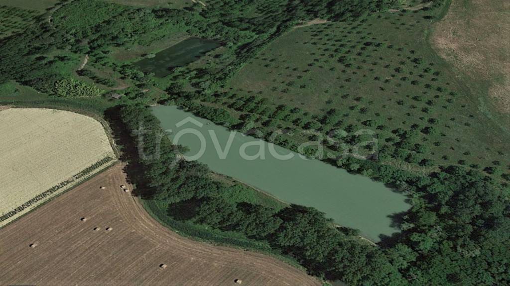 terreno agricolo in vendita a San Miniato