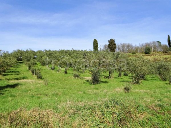ufficio in vendita a San Miniato