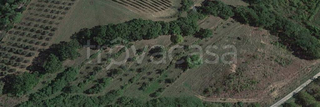 terreno agricolo in vendita a San Miniato