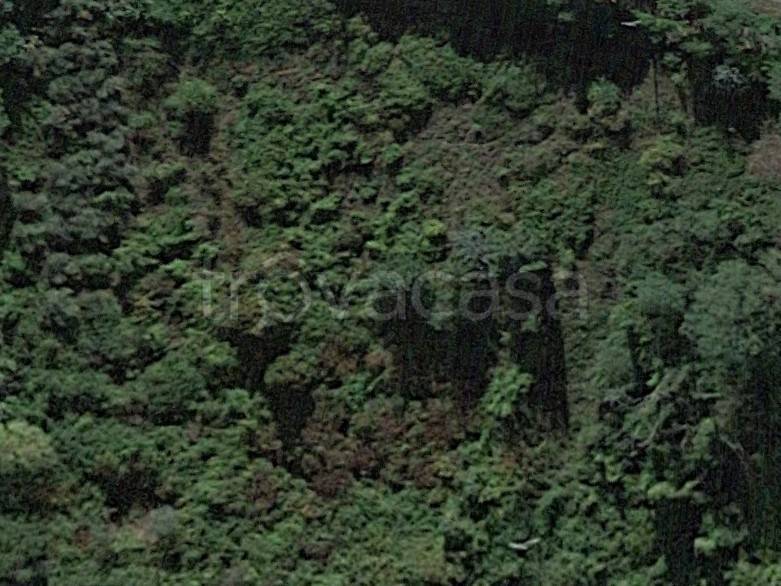 terreno agricolo in vendita a San Miniato