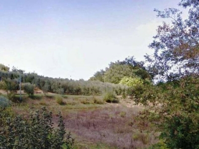terreno edificabile in vendita a San Miniato in zona Ponte a Egola