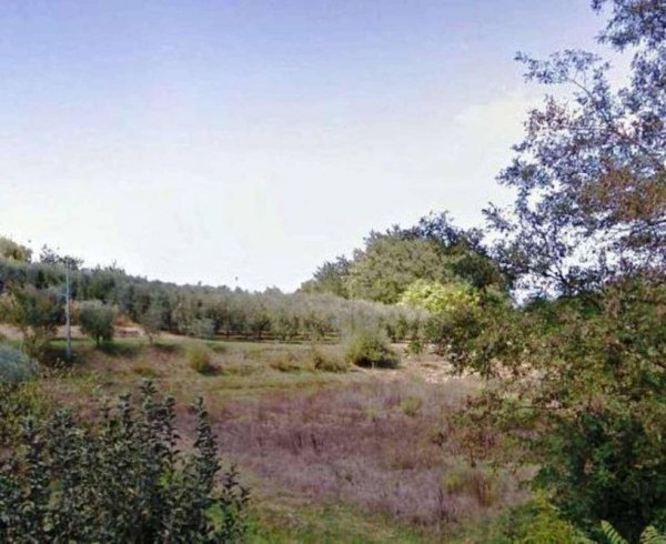 terreno edificabile in vendita a San Miniato in zona Ponte a Egola