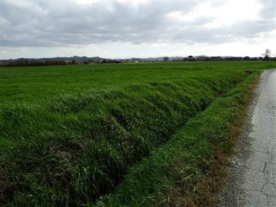 terreno agricolo in vendita a San Miniato in zona Catena