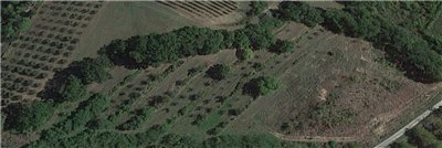 terreno agricolo in vendita a San Miniato