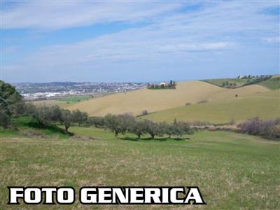 terreno agricolo in vendita a San Miniato