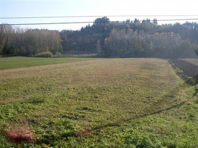 terreno agricolo in vendita a San Miniato in zona San Miniato Alto