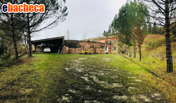 appartamento in vendita a San Miniato