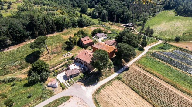 terreno agricolo in vendita a San Miniato