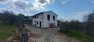 azienda agricola in vendita a San Miniato in zona Balconevisi