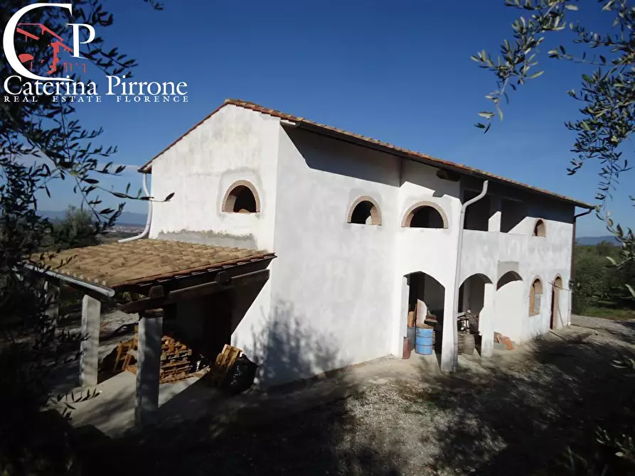 azienda agricola in vendita a San Miniato
